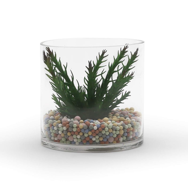 WGVI WGV Cylinder Vase  Width 6""  Height 6""  Clear Glass Container Terrarium Candle Holder for Wedding Centerpiece  Party Event  Home Office Decor  1 Piece - Image 4
